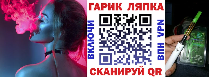 Гашиш Изолятор  Купить закладки  Вяземский 