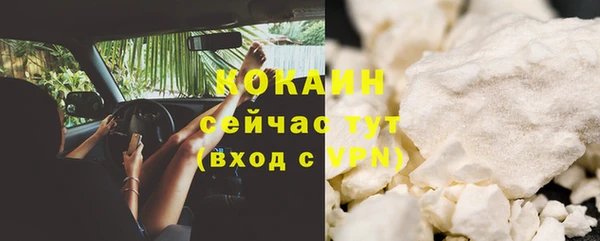 МДПВ Краснослободск
