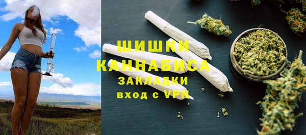 МДПВ Краснослободск