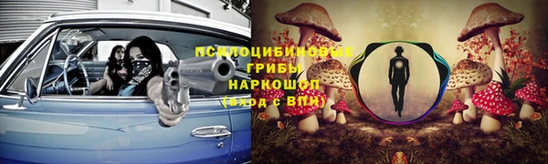 МДПВ Краснослободск