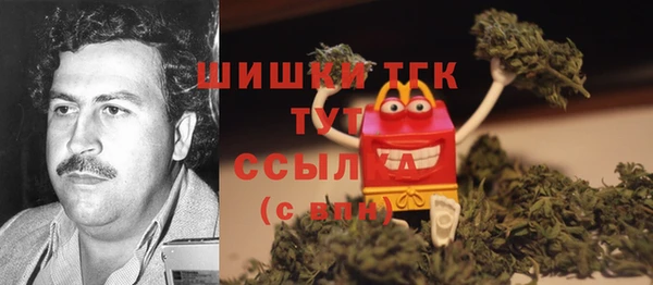 МДПВ Краснослободск